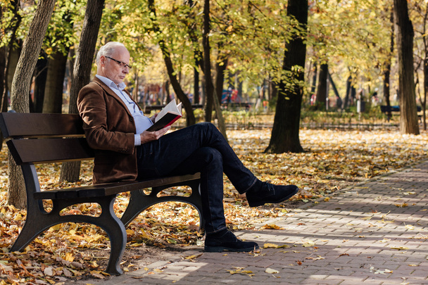 old elegant man reading a book outside - 写真・画像