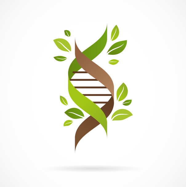 DNA tree with leaves - Vector, Image
