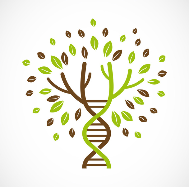 DNA drzewo z liśćmi - Wektor, obraz