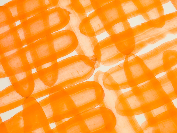 raw carrot texture - Photo, Image