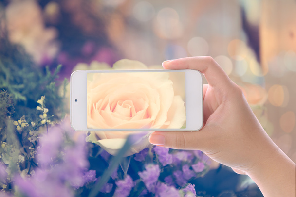 Mão usando smartphone fotografado vintage rosa buquê de flores s
 - Foto, Imagem