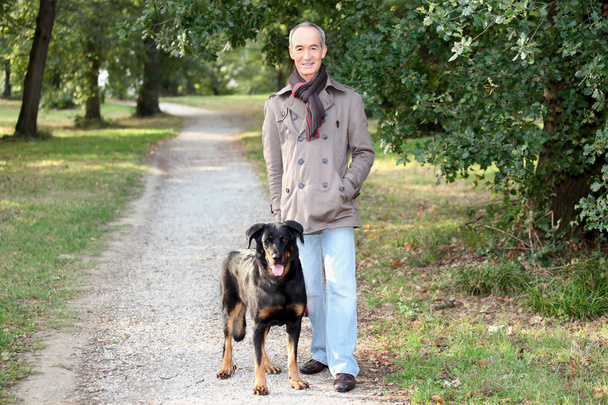 Senior man walking his dog in the woods - Valokuva, kuva