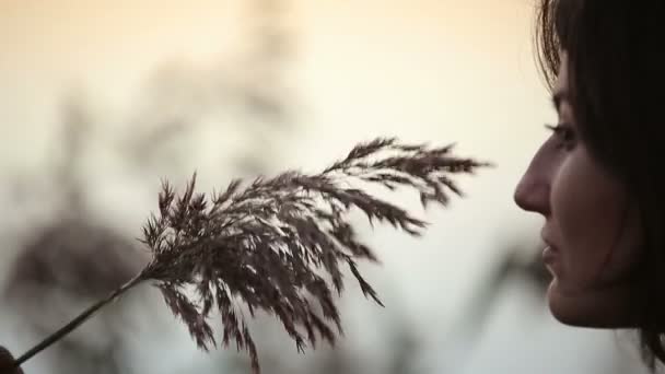 Jeune jolie brune jouant avec herbe regarder lever de soleil sur le lac
 - Séquence, vidéo