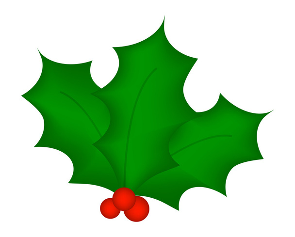 Holly berry, Kerstmis bladeren en vruchten pictogram, symbool, ontwerp. Winter vectorillustratie geïsoleerd op witte achtergrond. - Vector, afbeelding