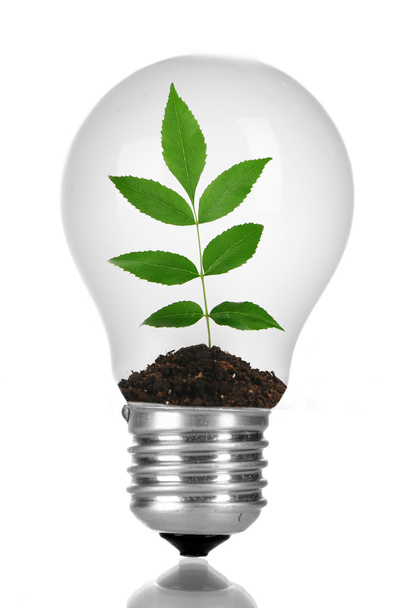 Green eco energy concept - Foto, afbeelding