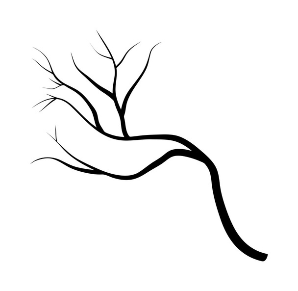 Zweigsilhouette Symbol, Symbol, Design. Vektor-Illustration isoliert auf weißem Hintergrund. - Vektor, Bild