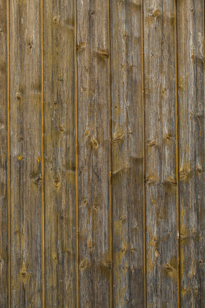 O fundo de madeira - Foto, Imagem