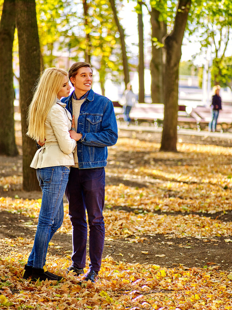 Young couple in autumn park - Фото, изображение