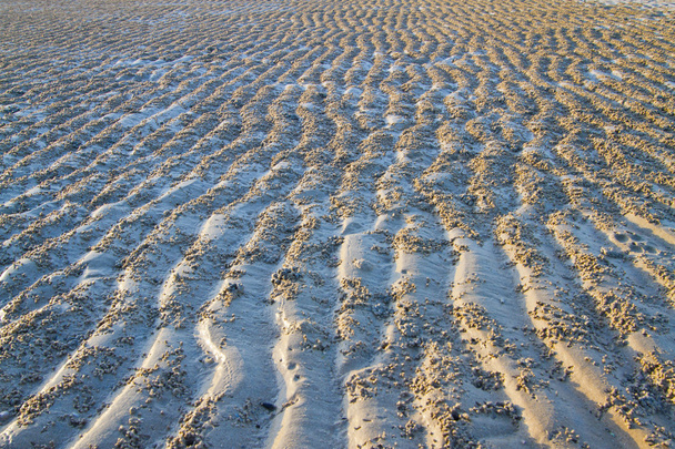 Υφή άμμου - Φωτογραφία, εικόνα