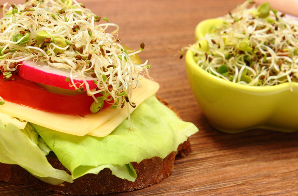 Vegetarian sandwich and bowl with alfalfa and radish sprouts - Fotografie, Obrázek