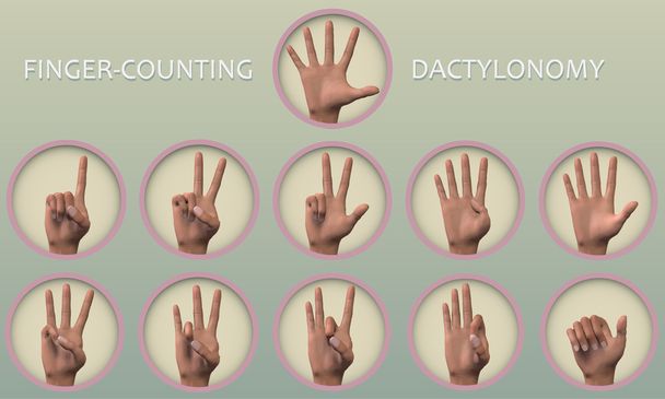 Finger-counting icons - Vector, Image