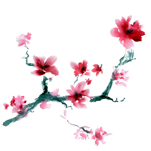 Акварель пофарбовані квіти
 - Фото, зображення