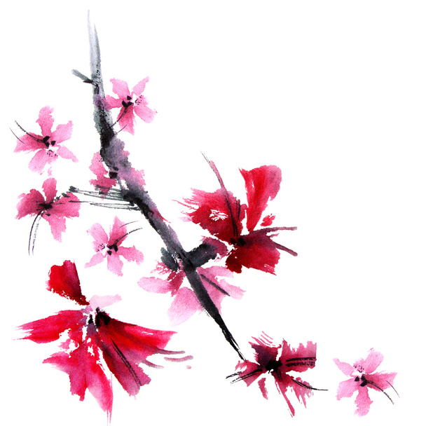 Акварель пофарбовані квіти
 - Фото, зображення