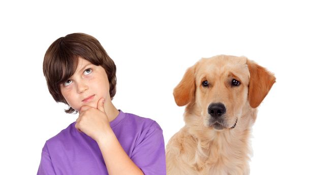 Пасічний хлопчик з собакою
  - Фото, зображення