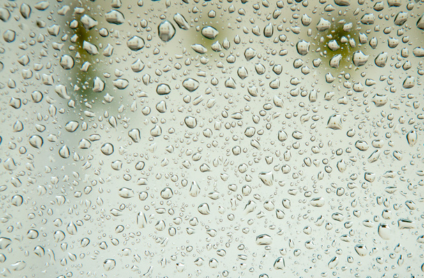 雨の滴でぬれたガラス - 写真・画像