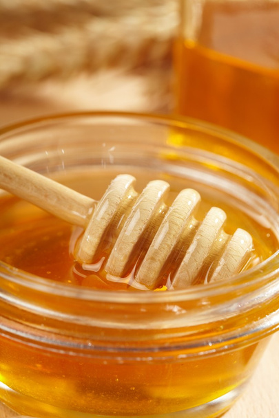 Honey with wood stick - 写真・画像