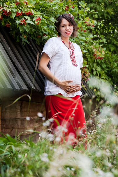 Geleneksel nakışlı gömlekli hamile Ukraynalı kadın - Fotoğraf, Görsel