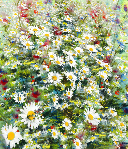Daisy and meadow flowers, art background - Photo, Image