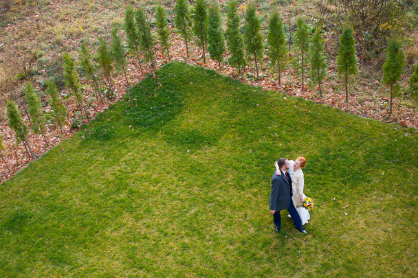Bride and groom on the green grass - Zdjęcie, obraz