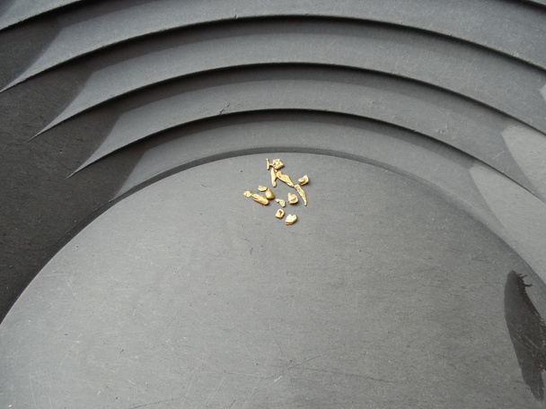 encontrar pepitas de oro
 - Foto, imagen