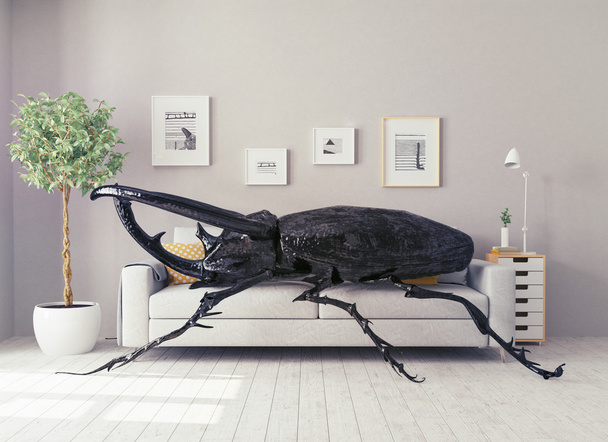 o besouro na sala
 - Foto, Imagem