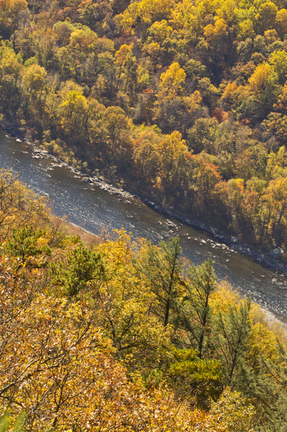 Delaware River herfst - Foto, afbeelding