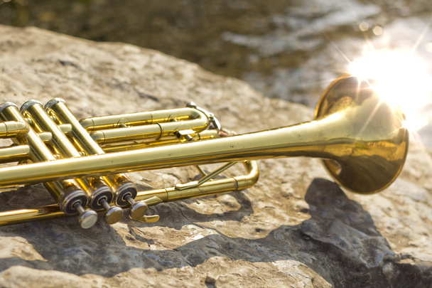 Trompeta Instrumento Lago
 - Foto, Imagen