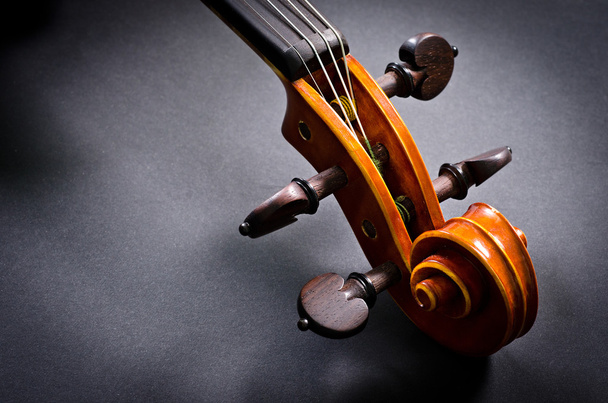 wooden violin head - Photo, Image