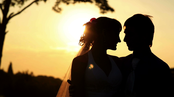 νύφη και γαμπρός στο ηλιοβασίλεμα - Πλάνα, βίντεο