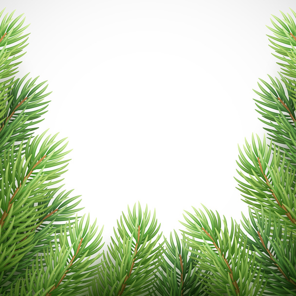 ramas de abeto verde como marco de Navidad. Ilustración vectorial
 - Vector, imagen