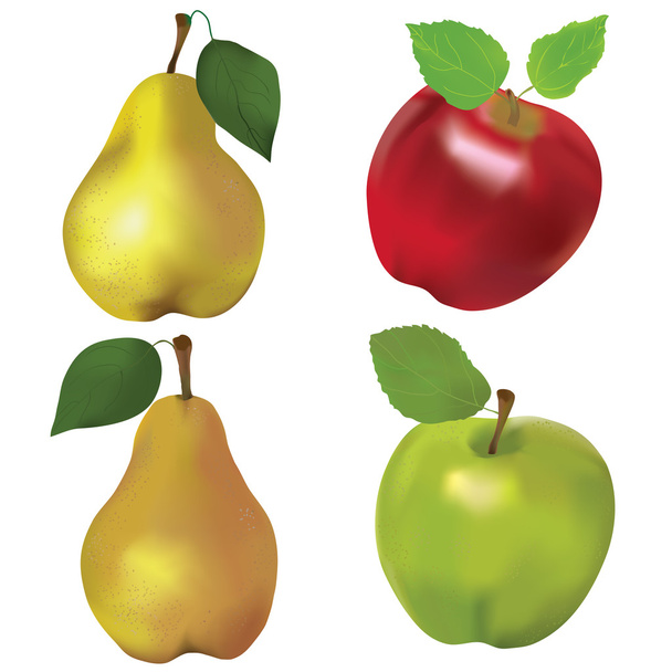 Set di mele rosse e verdi e pere gialle isolate su fondo bianco
 - Vettoriali, immagini