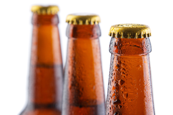 пляшки пива ізольовані на білому тлі
 - Фото, зображення