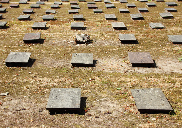 Birdseye de lápidas en el antiguo cementerio de Moravia
 - Foto, Imagen