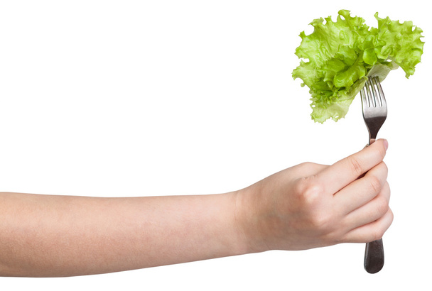 hand holding dinning fork with fresh leaf lettuce - Fotó, kép