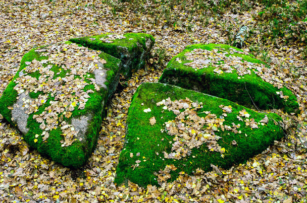 Тракту кам'яна село, Житомирської області села з Рудня-Zamy - Фото, зображення