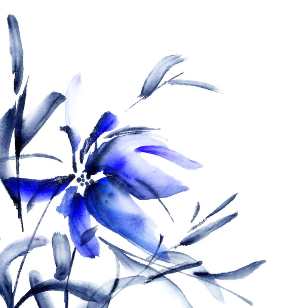Watercolor floral illustration - Photo, Image