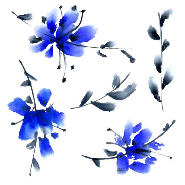 水彩画の花のイラスト - 写真・画像