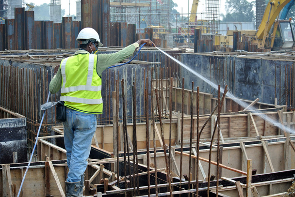 Termiittien kemiallista käsittelyä ruiskuttavat rakennustyöntekijät
 - Valokuva, kuva