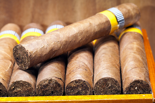 The Cuban cigars, hand made - Foto, imagen