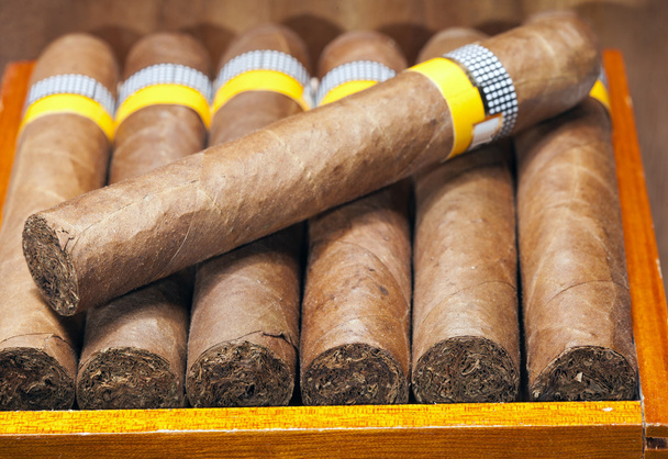 The Cuban cigars, hand made - Foto, afbeelding