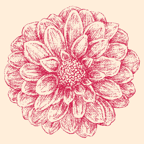 ručně tažené květ - Vektor, obrázek
