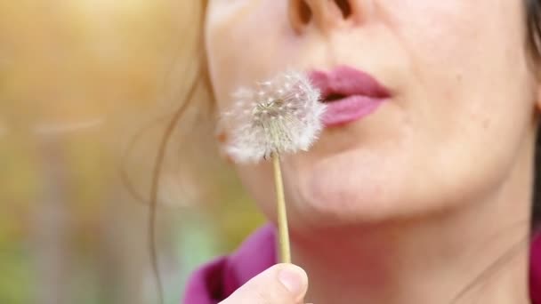 Blowing Dandelion in Nature in Slow Motion - Footage, Video
