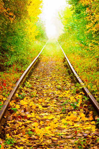 Autumn on the railroad - Photo, Image