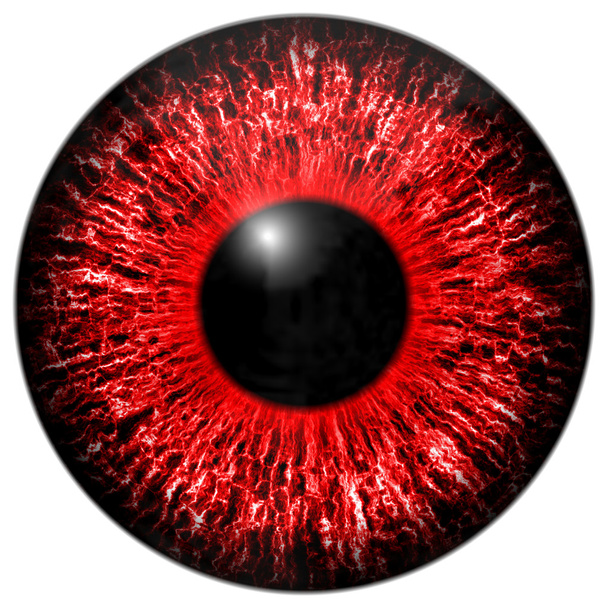 Červených očí iris - Fotografie, Obrázek