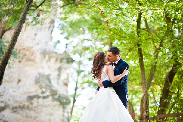 Very sensual and gorgeus wedding couple on the picturesque lands - Фото, изображение