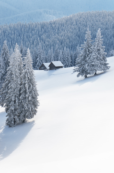 Víla krajina v zimě - Fotografie, Obrázek