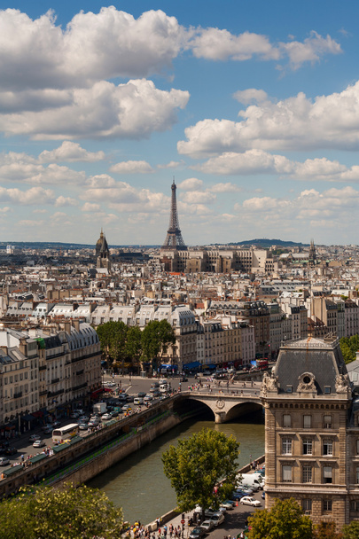 Vertical view of Paris from Notre Dame - Photo, Image
