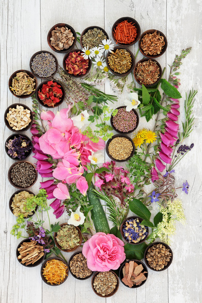 medicina herbal alternativa
 - Foto, imagen