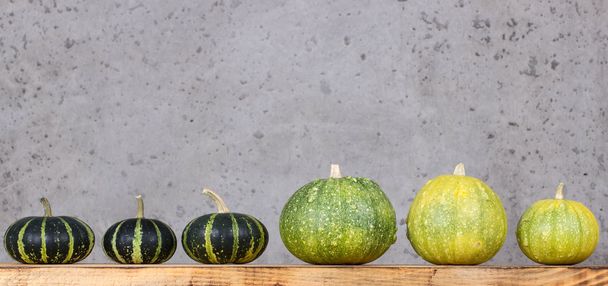 Harvest decorative pumpkins. - Foto, Bild