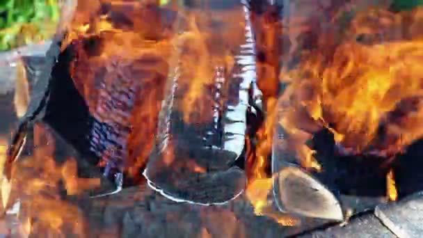 クローズ アップ ビューたき火の炎と燃える薪 - 映像、動画